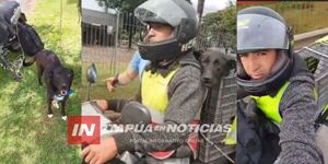 33 HORAS EN MOTONETA DESDE BS. AS. A ENCARNACIÓN PARA NO ABANDONAR A SU MASCOTA