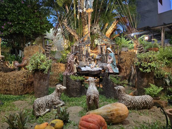 El pesebre de la familia Quevedo-Lailla: una obra viva que combina naturaleza, fe y mensaje en Concepción - Concepción al Día