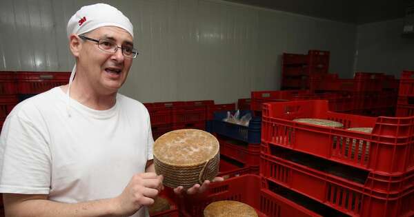 La Nación / Producción de quesos: seis claves para un negocio rentable y sostenible