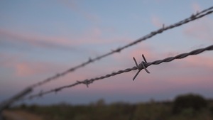 ITAPÚA POTY: NIÑO MURIÓ ELECTROCUTADO EN UNA CERCA ELÉCTRICA