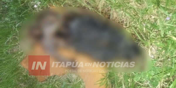 HALLAN CADÁVER PUTREFACTO EN UN BALDÍO CERCA DE LA AVDA. IRRAZABAL