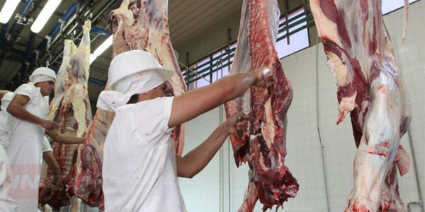 ITAPÚA EN CONDICIONES PARA LA EXPLOTACIÓN DE LA INDUSTRIA CÁRNICA