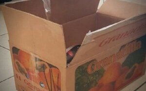 HALLARON A UN RECIÉN NACIDO CON UN CORTE EN EL CUELLO