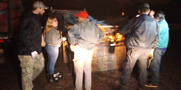 INCAUTAN CARGAMENTO DE MADERA NATIVA SOBRE GRANEROS DEL SUR