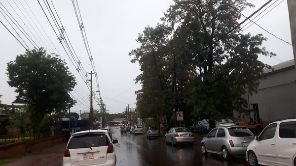 UNA MENOR LESIONADA, CAÍDA DE ÁRBOL Y CORTES DE ENERGÍA TRAS TEMPORAL.