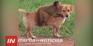 UNA AMISTAD QUE TRASPASÓ HASTA LAS LEYES DE LA NATURALEZA.