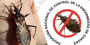 EXPERTOS DE LA OPS EVALUARÁN ESTA SEMANA LA SITUACIÓN DEL CHAGAS EN PARAGUAY