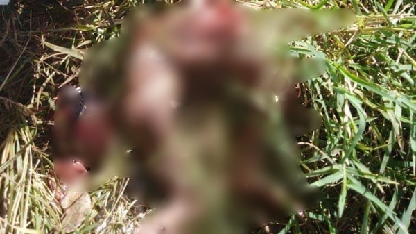 HALLAN RESTOS DE UN FETO EN B° SAN ISIDRO ENCARNACIÓN