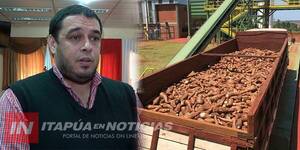 NOTABLE CRECIMIENTO EN LA PRODUCCIÓN DE MANDIOCA EN ITAPÚA