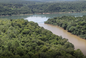 DESTINARÁN USD 200.000 PARA PROTEGER EL BOSQUE ATLÁNTICO DEL ALTO PARANÁ.