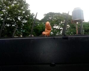 POSADAS: ENTRÓ A ROBAR UNA GARRAFA Y LE COSTÓ UN DEDO