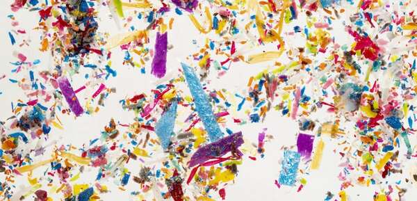 La exposición paterna a microplásticos altera la salud metabólica de descendencia - Ciencia - ABC Color