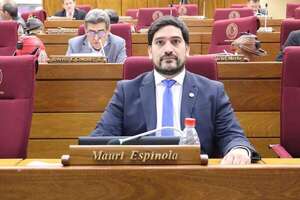 Espínola cuestiona la “tranquilidad” del IPS y apunta a riesgos por inversiones en ueno - Política - ABC Color