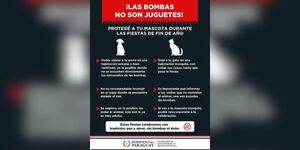 EVITEMOS EL SUFRIMIENTO DE ANIMALES