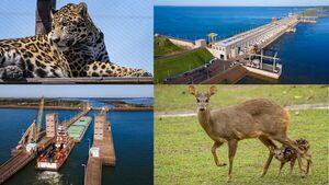 YACYRETÁ HABILITA VISITAS GUIADAS DURANTE LAS FIESTAS DE FIN DE AÑO