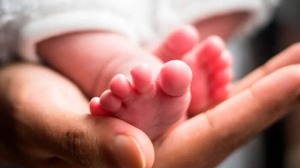 IPS recibió el primer nacimiento de Navidad - La Tribuna