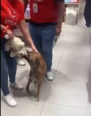 [VIDEO] Hicieron vaquita y para que firulais pueda tener su regalo de Navidad