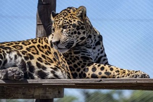 ¡Imperdible! Yacyretá habilita visitas guiadas durante las fiestas de fin de año - La Tribuna