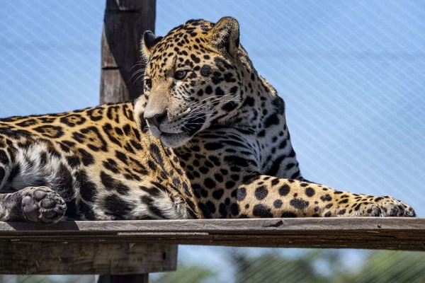 ¡Imperdible! Yacyretá habilita visitas guiadas durante las fiestas de fin de año - La Tribuna