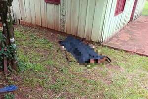 San Rafael del Paraná: hombre disparó a sus dos hijos en Navidad - Policiales - ABC Color