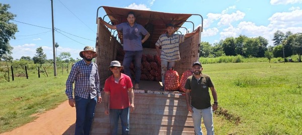 Productores caazapeños comercializan con éxito cebolla en el Mercado de Abasto