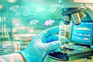 Microplásticos: La huella paterna que afecta a los hijos