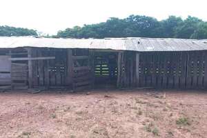 Asaltos y homicidios en el feriado largo por Nochebuena y Navidad - Policiales - ABC Color