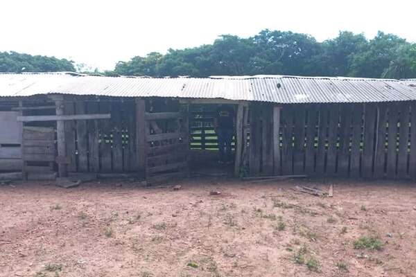 Asaltos y homicidios en el feriado largo por Nochebuena y Navidad - Policiales - ABC Color