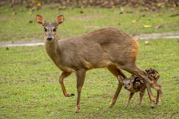 Yacyretá habilita visitas guiadas durante las fiestas de fin de año
