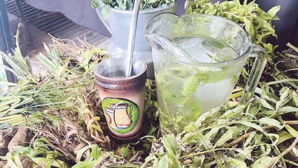 Tereré “yorador” tras los excesos navideños
