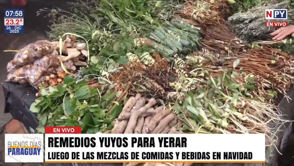 Remedios yuyos para yerar y aliviar el estómago tras los excesos de la cena de Navidad