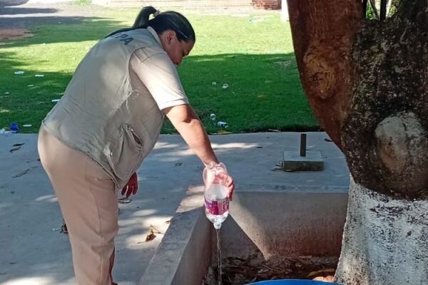 Senepa fortalece trabajos de prevención de arbovirosis en puntos estratégicos - trece