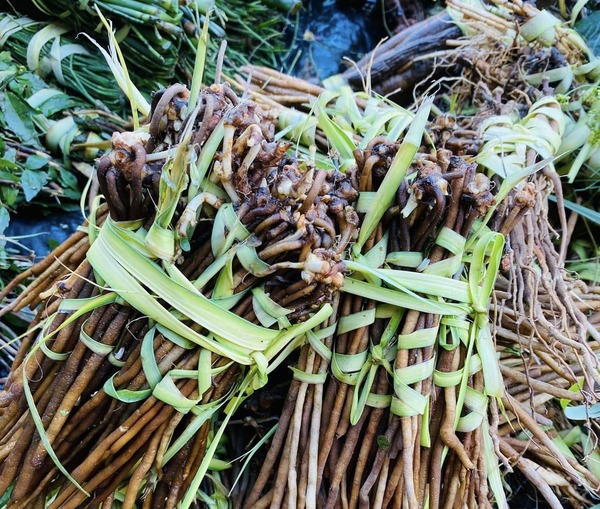 Tereré yorador con yuyos para después de las fiestas