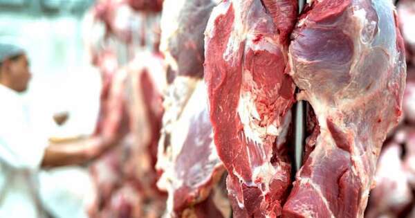 La Nación / Estudio de Conacom analiza la competencia en el mercado de la carne bovina