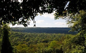 Verano 2026: Normas y costos en parques nacionales