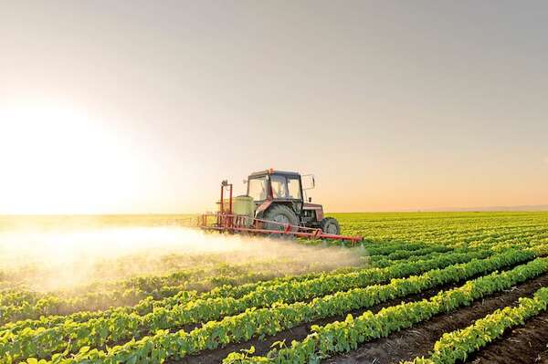 Claves para una desecación eficiente: rendimiento y control de malezas - ABC Rural - ABC Color