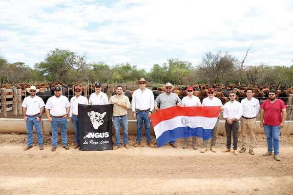 Sudameris acompañó la Ruta Angus con visitas a establecimientos productivos de referencia - ABC Rural - ABC Color