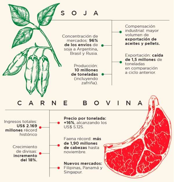 Liderazgo exportador paraguayo: 10 millones de toneladas de soja y récord en carne con US$ 2.169 millones - ABC Rural - ABC Color