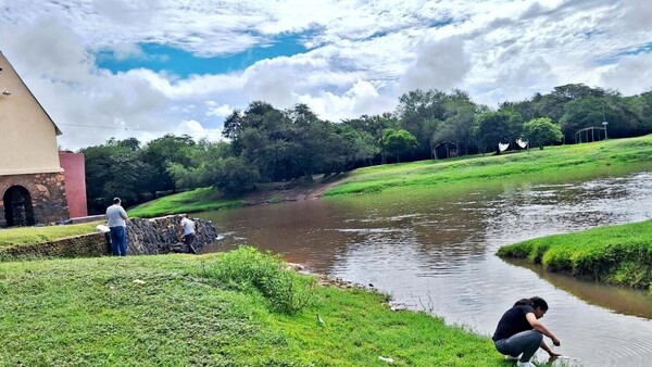 Itapé: Autoridades buscan causa de reiterada mortandad de peces