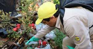 La Nación / Senepa inició plan de prevención contra dengue y otros en varias zonas clave del país