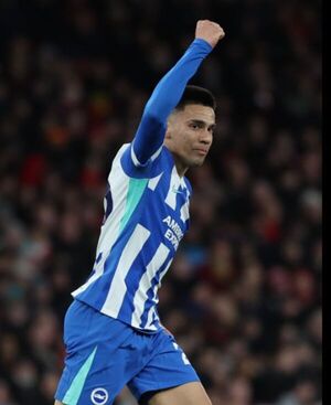 Popular / Golazo de Gómez no le alcanzó al Brighton