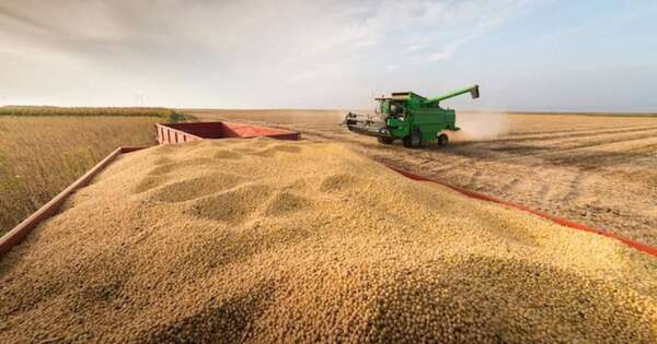 La Nación / Inversión, tecnología y capacitación fortalecen la productividad agropecuaria