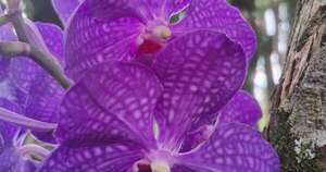 La Nación / Una praxis fundamental