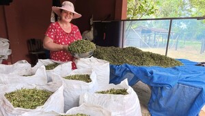 Se adentró en el mundo de las plantas medicinales y con eso se gana la vida