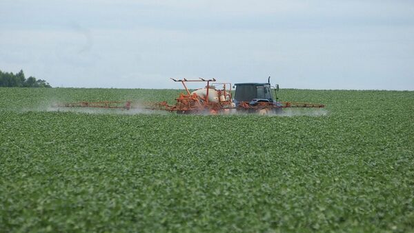 Agricultura se recupera y crece en casi 10% durante tercer trimestre