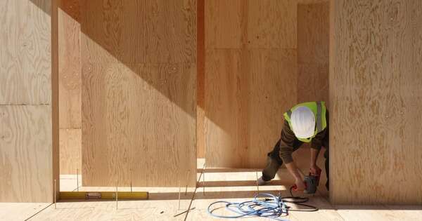 La Nación / Madera contrachapada: un producto muy solicitado que gana mercados internacionales