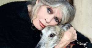 La Nación / Falleció Brigitte Bardot, icono del cine francés