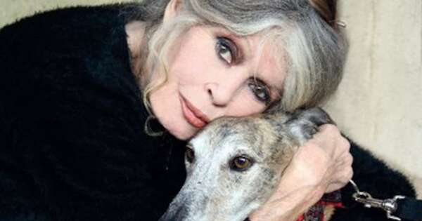 La Nación / Falleció Brigitte Bardot, icono del cine francés