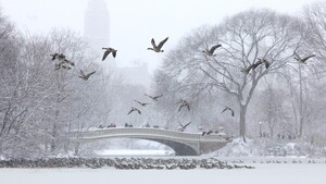 Miles de vuelos cancelados en todo EEUU por tormentas invernales en temporada Navideña