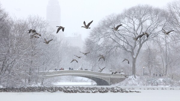 Miles de vuelos cancelados en todo EEUU por tormentas invernales en temporada Navideña